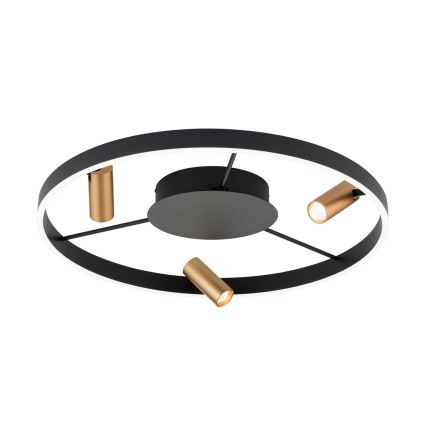 LED Ściemnialna lampa sufitowa BERLIN LED/50W/230V czarna/złota