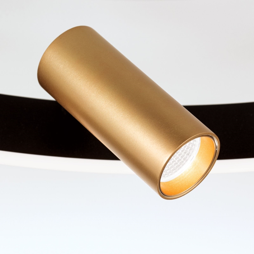 LED Ściemnialna lampa sufitowa BERLIN LED/50W/230V czarna/złota