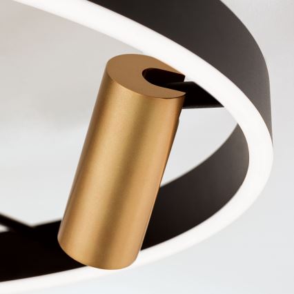 LED Ściemnialna lampa sufitowa BERLIN LED/50W/230V czarna/złota