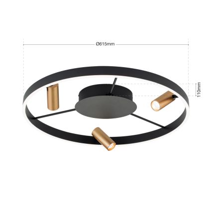 LED Ściemnialna lampa sufitowa BERLIN LED/50W/230V czarna/złota