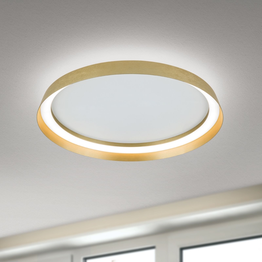 LED Plafon ściemnialny MANTA LED/38W/230V 2700/3000/4000K śr. 45 cm złoty