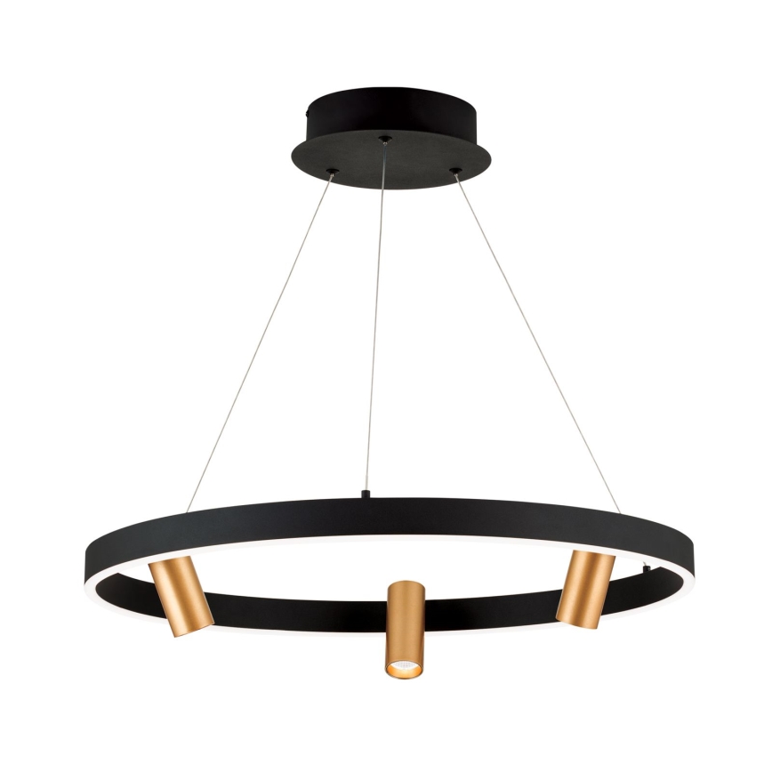 LED Żyrandol ściemnialny na lince BERLIN LED/50W/230V czarny/złoty