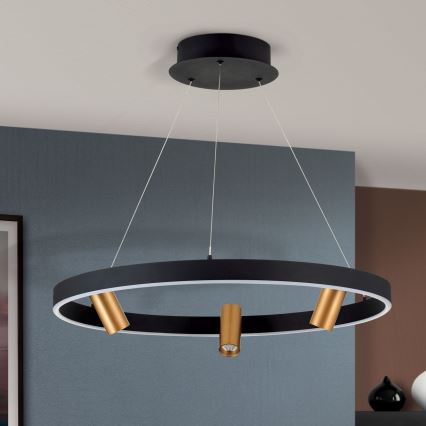 LED Żyrandol ściemnialny na lince BERLIN LED/50W/230V czarny/złoty