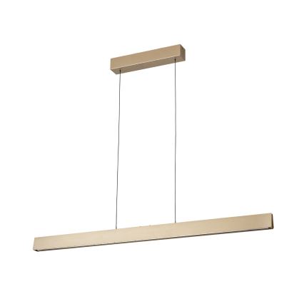 LED Żyrandol ściemnialny na lince TARA LED/44W/230V 2700/3800/4500/5700K złoty