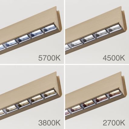 LED Żyrandol ściemnialny na lince TARA LED/44W/230V 2700/3800/4500/5700K złoty