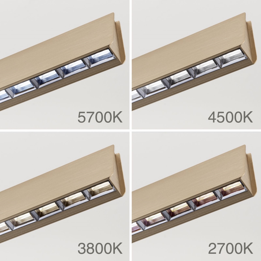 LED Żyrandol ściemnialny na lince TARA LED/44W/230V 2700/3800/4500/5700K złoty