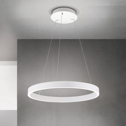ściemnialny żyrandol LED na lince KOLK LED/60W/230V 2700/3000/4000K śr. 60 cm biały