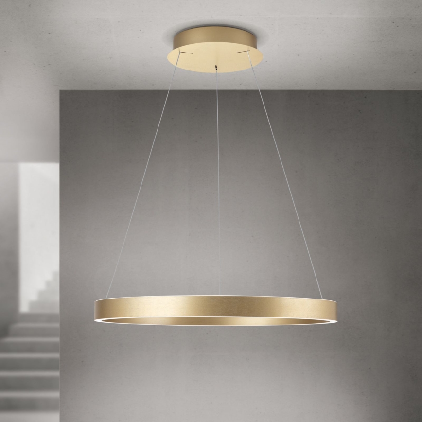 LED ściemnialny żyrandol na lince KOLK LED/60W/230V 2700/3000/4000K śr. 60 cm złoty