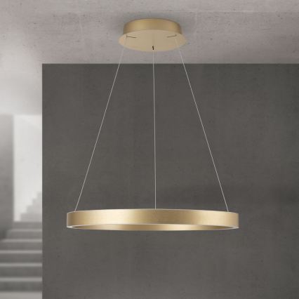 LED ściemnialny żyrandol na lince KOLK LED/60W/230V 2700/3000/4000K śr. 60 cm złoty