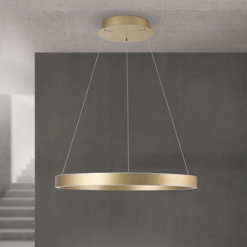 LED ściemnialny żyrandol na lince KOLK LED/60W/230V 2700/3000/4000K śr. 60 cm złoty