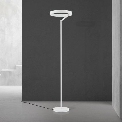 LED ściemniana lampa stojąca KOLK LED/40W/230V 2700/4000K biała