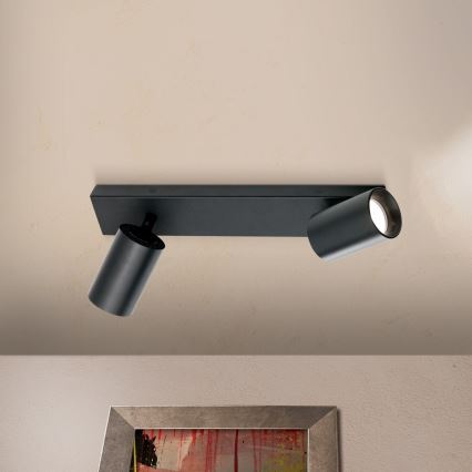 Oprawa punktowa SEAN 2xGU10/13W/230V czarna