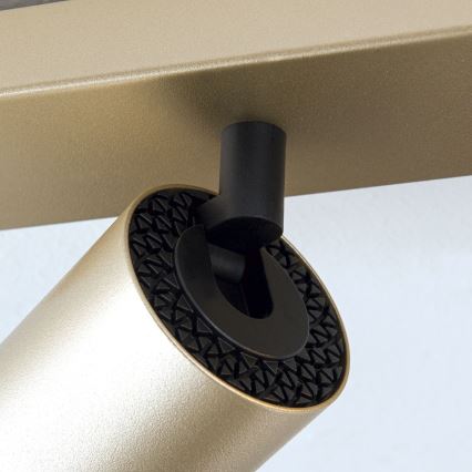 Oprawa punktowa SEAN 4xGU10/13W/230V złota