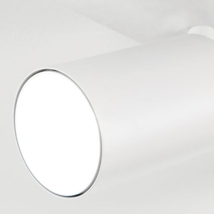 Oprawa punktowa SEAN 5xGU10/13W/230V biała