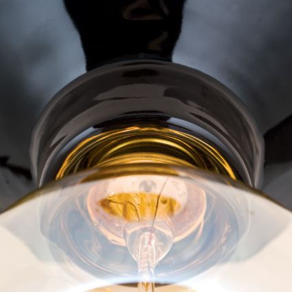 Lampa sufitowa FROST 1xE27/60W/230V czarna