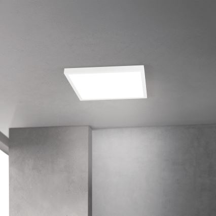 LED ściemnialna oprawa sufitowa DISC LED/30W/230V 2700/3000/4000K 39x39 cm biała