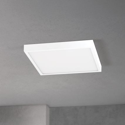 LED ściemnialna oprawa sufitowa DISC LED/30W/230V 2700/3000/4000K 39x39 cm biała