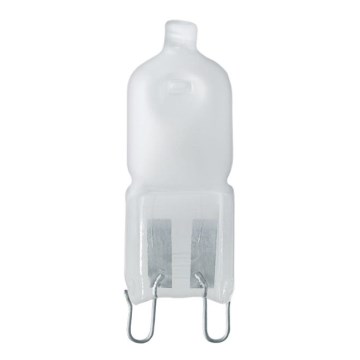 Osram 66840 AM - Zestaw 3x Halogenowa żarówka HALOPIN G9/40W/230V
