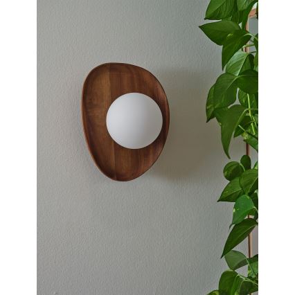 Osram - Kinkiet ACACIA NEST 1xG9/5W/230V akacja