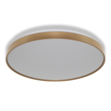 Osram - Lampa sufitowa CEILING LUXO LED/60W/230V Ø 56 cm, złota