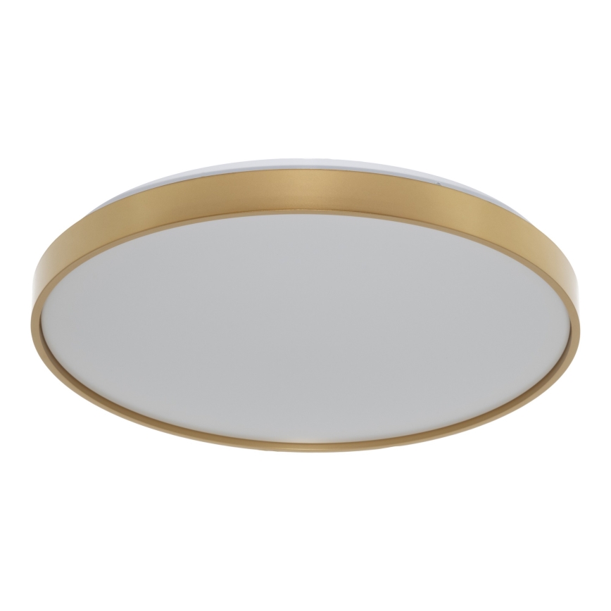 Osram - Lampa sufitowa LED CEILING LUXO LED/36W/230V śr. 49 cm złota