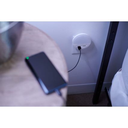 Osram - Lampka nocna LED do gniazdka z czujnikiem LUNETTA 2xUSB LED/13W/230V