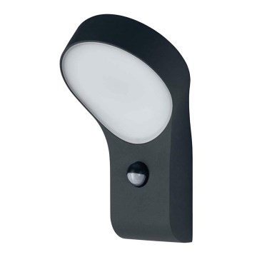 Osram - LED/8W IP44 Kinkiet zewnętrzny z czujnikiem ENDURA 1xLED/8W/230V