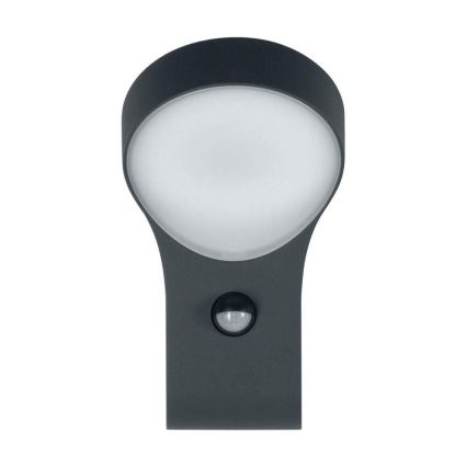 Osram - LED Kinkiet zewnętrzny z czujnikiem ENDURA 1xLED/8W/230V IP44