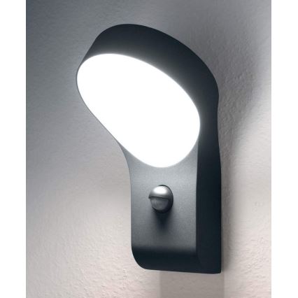 Osram - LED Kinkiet zewnętrzny z czujnikiem ENDURA 1xLED/8W/230V IP44