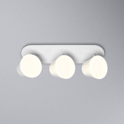 Osram - LED Łazienkowa oprawa punktowa SPOT 3xLED/7W/230V IP44 3000/4000K