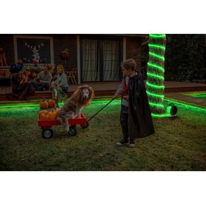 Osram - ściemnialna zewnętrzna taśma LED RGB FLEX 15m LED/100W/230V IP65 + z pilotem
