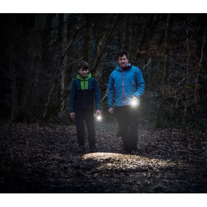 Osram - Latarka LED z regulacją jasności LEDINSPECT TORCH 450 ESSENTIAL LED/6W/3xAAA IP44