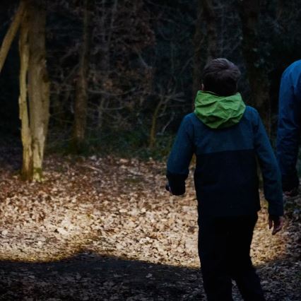 Osram - Latarka LED z regulacją jasności LEDINSPECT TORCH 450 ESSENTIAL LED/6W/3xAAA IP44