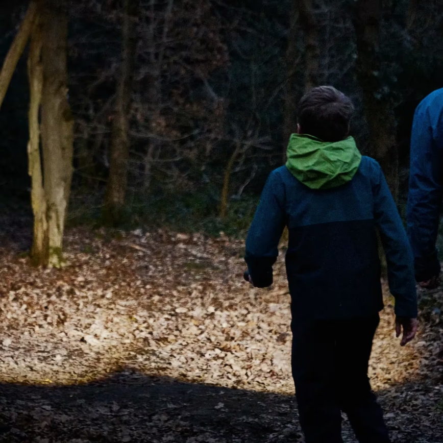 Osram - Latarka LED z regulacją jasności LEDINSPECT TORCH 450 ESSENTIAL LED/6W/3xAAA IP44