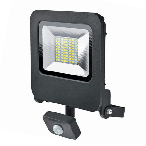 Osram - LED Zewnętrzny reflektor z czujnikiem ENDURA LED/50W/240V IP44