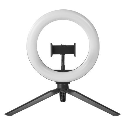 Osram - LED ściemniana lampka biurkowa ze statywem i uchwytem do vlogowania LED/5,5W/USB 3000-6500K 210 mAh