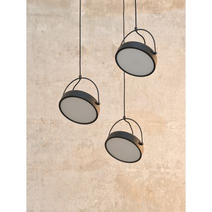 Osram - Żyrandol LED na przewodzie DECOR PUCK 3xLED/12W/230V CRI 90 czarny