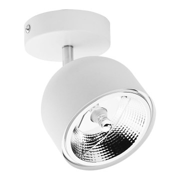 Oświetlenie punktowe ALTEA 1xAR111 GU10/50W/230V białe
