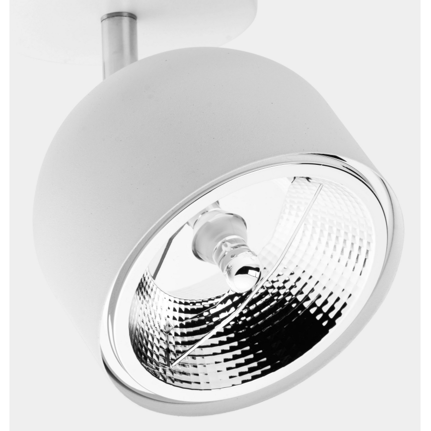Oświetlenie punktowe ALTEA 1xAR111 GU10/50W/230V białe