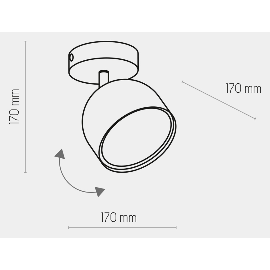 Oświetlenie punktowe ALTEA 1xAR111 GU10/50W/230V białe