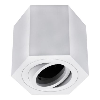 Oświetlenie punktowe ARENO 1xGU10/30W/230V białe