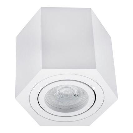Oświetlenie punktowe ARENO 1xGU10/30W/230V białe