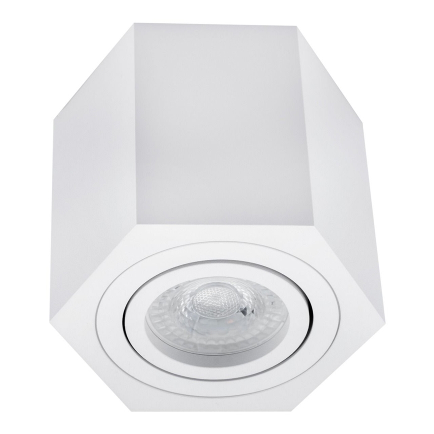 Oświetlenie punktowe ARENO 1xGU10/30W/230V białe