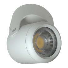 Oświetlenie punktowe ARGON 1xGU10/30W/230V biały