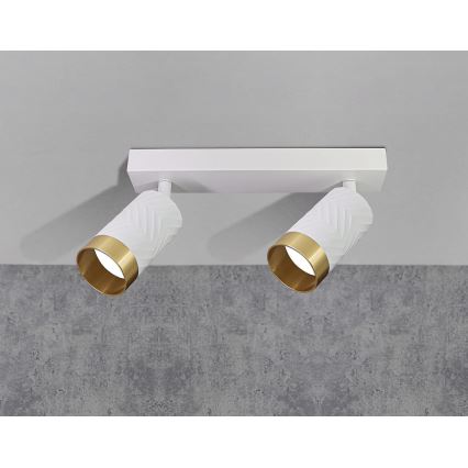 Oświetlenie punktowe ARRAS 2xGU10/10W/230V białe