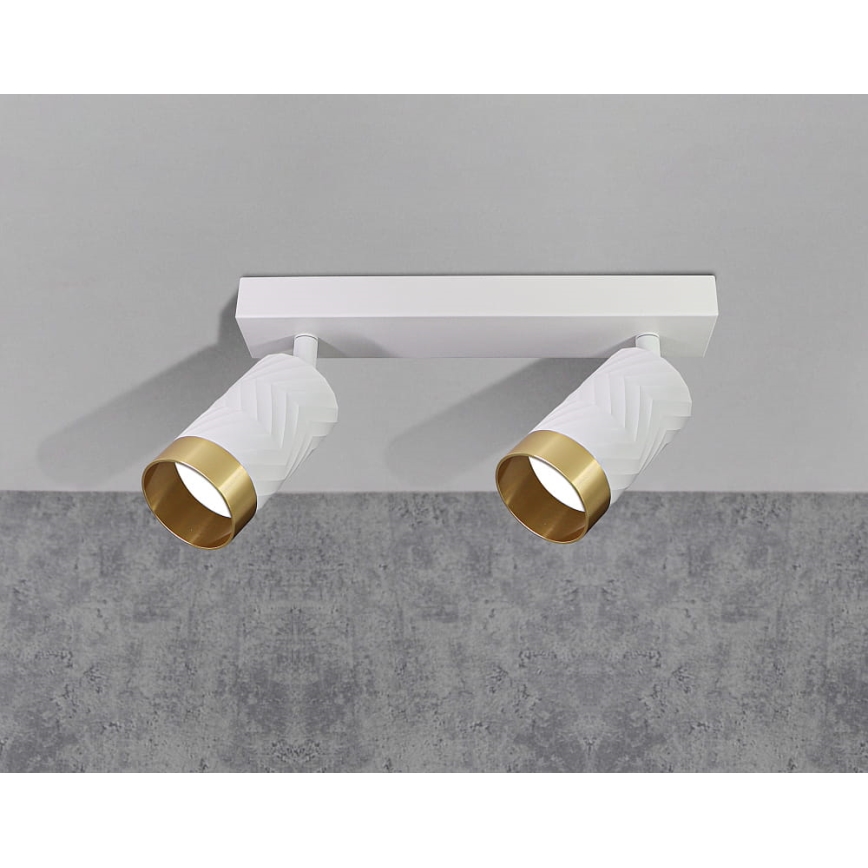 Oświetlenie punktowe ARRAS 2xGU10/10W/230V białe