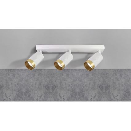 Oświetlenie punktowe ARRAS 3xGU10/10W/230V białe