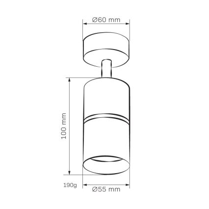 Oświetlenie punktowe BAMBOO 1xGU10/10W/230V białe