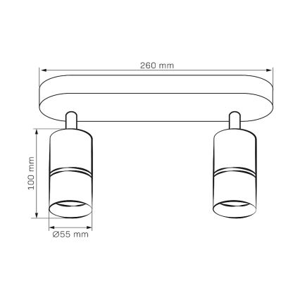 Oświetlenie punktowe BAMBOO 2xGU10/10W/230V białe