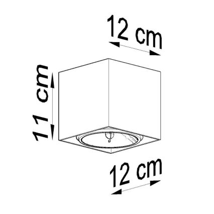 Oświetlenie punktowe BLAKE 1xGU10/40W/230V